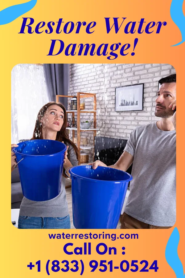 water restoration Horizon Mitigation & Sons Bethpage
